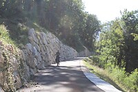 IMG_8104