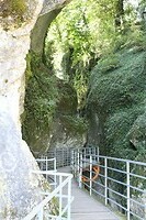 IMG_8118