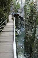 IMG_8119
