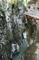 IMG_8120