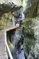 IMG_8124