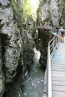 IMG_8140