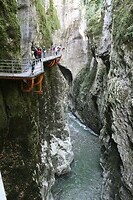IMG_8141