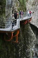 IMG_8142