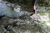 IMG_8143