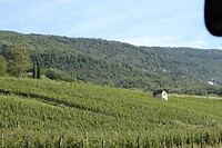 IMG_8153