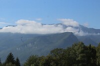 IMG_8201