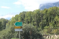 IMG_8215