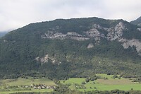 IMG_8219