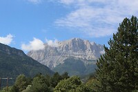 IMG_8245