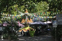 IMG_8273