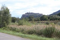 IMG_8291