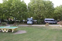 IMG_8295