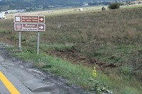IMG_8347