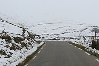 IMG_8522
