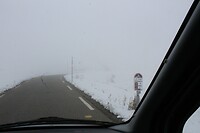 IMG_8526