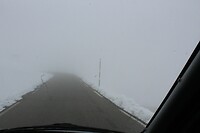 IMG_8528