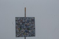 IMG_8531