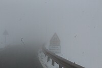 IMG_8532
