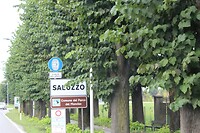 IMG_8568