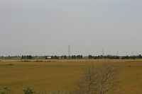 IMG_8618