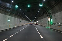 IMG_8734