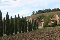 IMG_8745