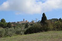 IMG_8778