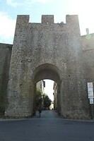 IMG_8787