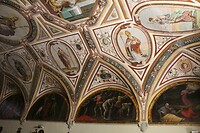 IMG_8802