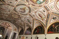 IMG_8803