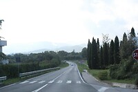 IMG_8845