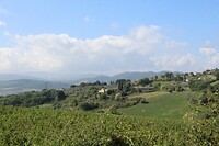 IMG_8858