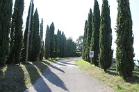 IMG_8861