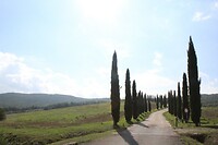 IMG_8873