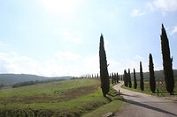 IMG_8874