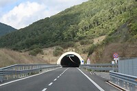 IMG_8910
