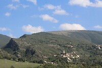 IMG_8913