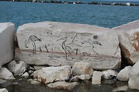 IMG_8987