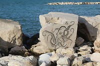 IMG_8989