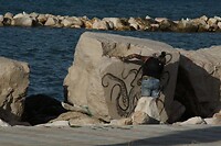 IMG_8997
