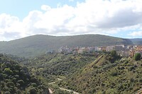 IMG_9029