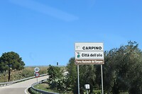 IMG_9034