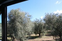 IMG_9037