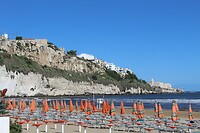 IMG_9082