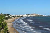 IMG_9084