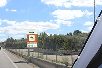 IMG_9152
