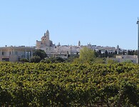 IMG_9167
