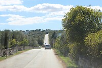 IMG_9137