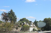 IMG_9155